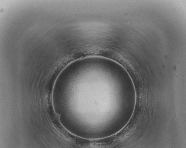 X0000073710641200608101840