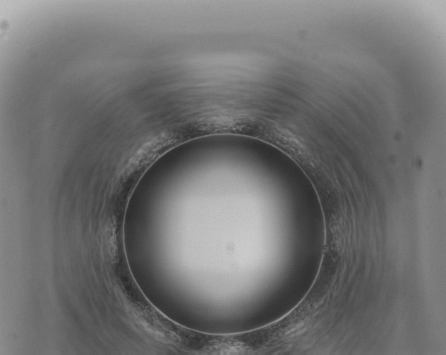 X0000073710642200608101840