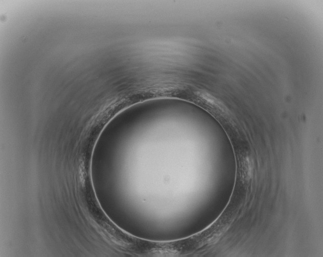 X0000073710644200608101840