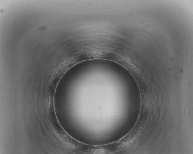 X0000073710645200608101840