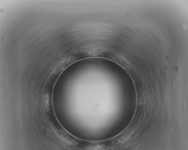 X0000073710646200608101840