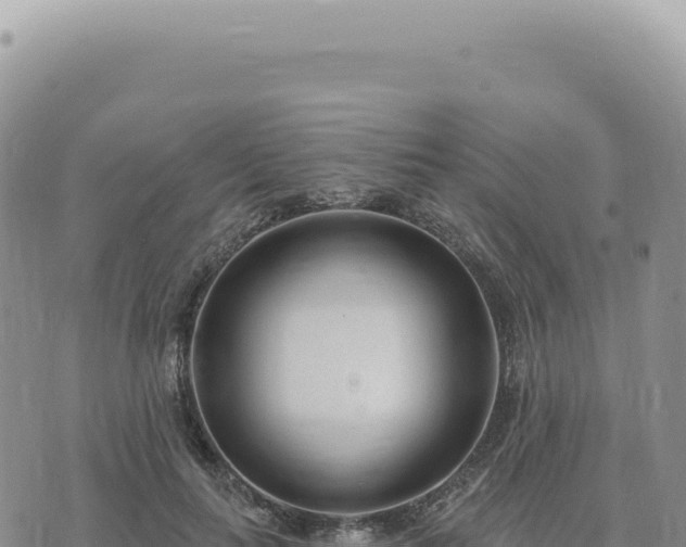 X0000073710647200608101840