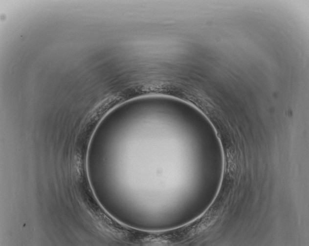 X0000073710648200608101840