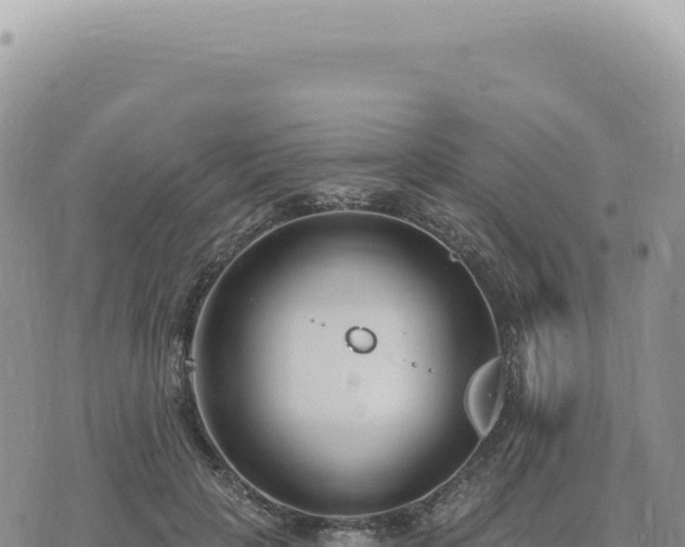 X0000073710649200608101840