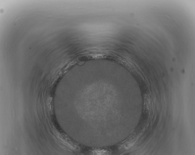 X0000073710650200608101840