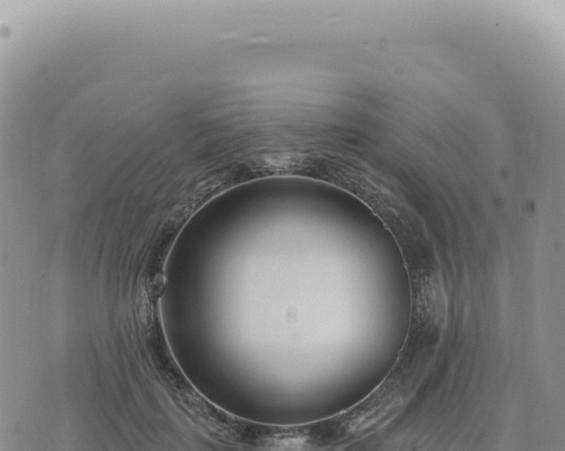 X0000073710651200608101840