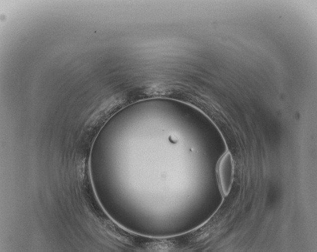 X0000073710652200608101840