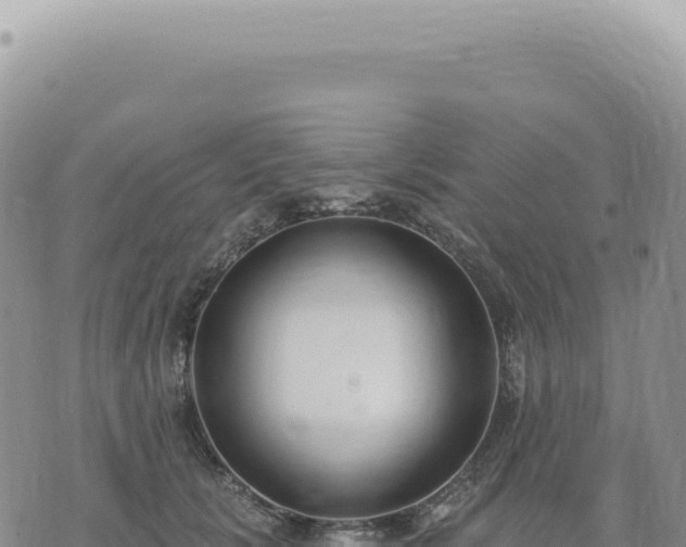 X0000073710657200608101840