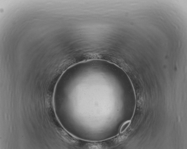 X0000073710658200608101840