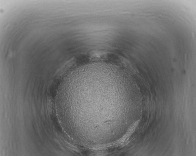 X0000073710659200608101840