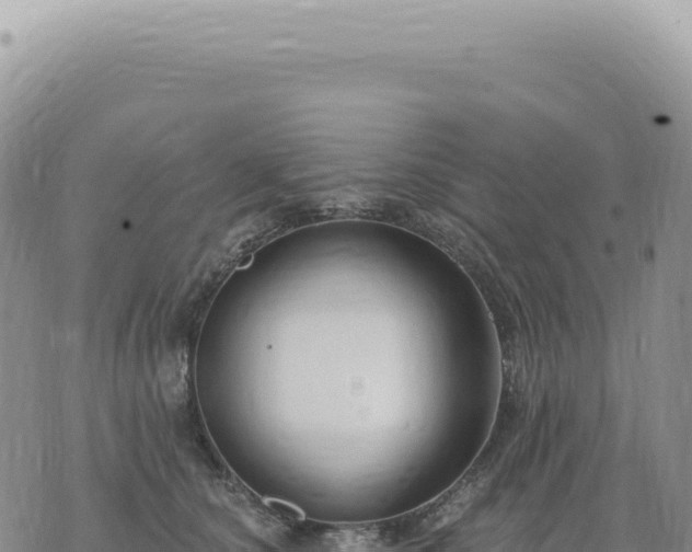 X0000073710660200608101840