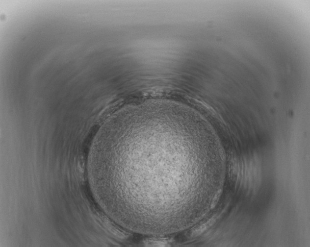 X0000073710661200608101840