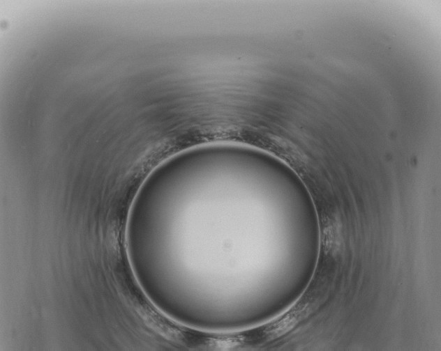 X0000073710662200608101840