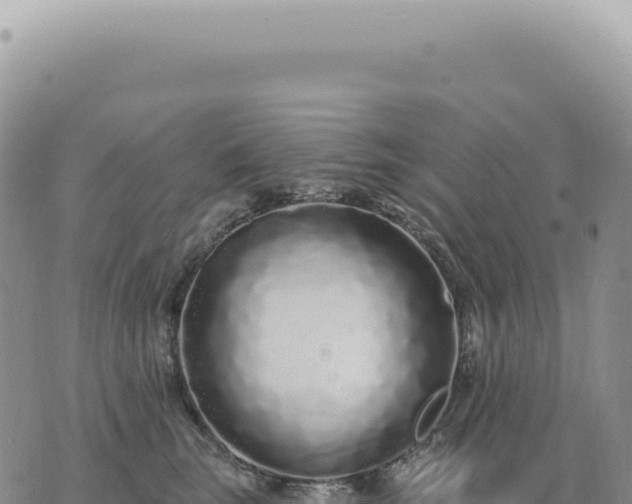 X0000073710663200608101840