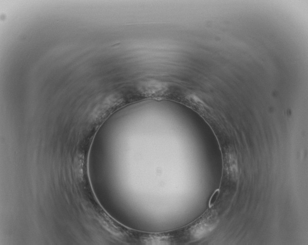 X0000073710664200608101840