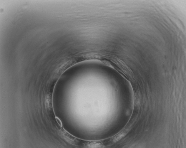 X0000073710669200608101840