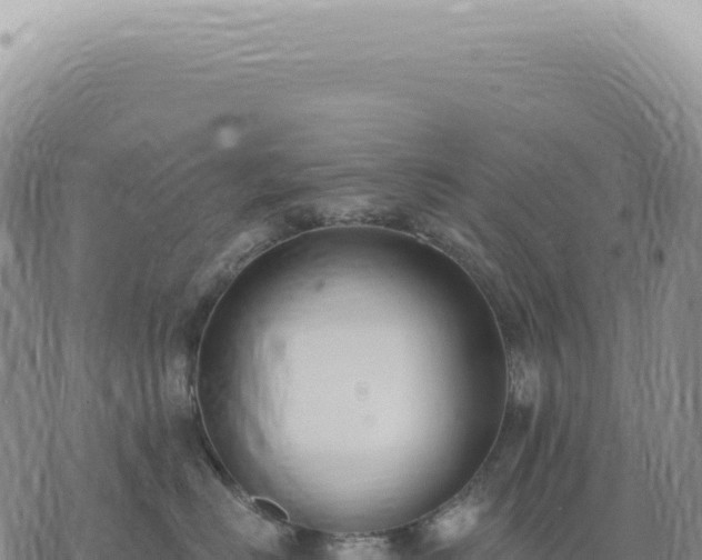 X0000073710670200608101840