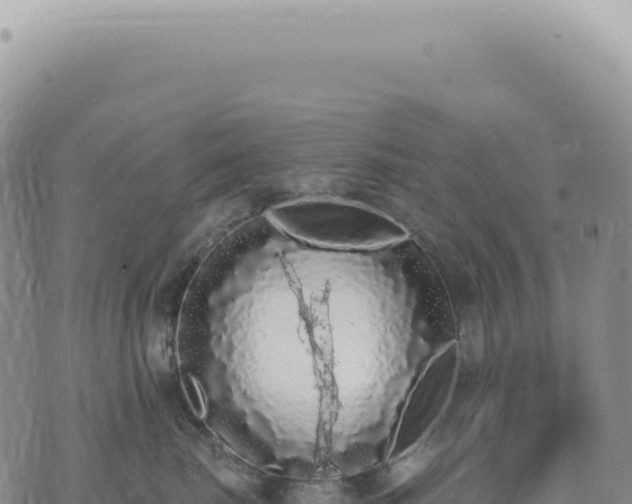 X0000073710671200608101840