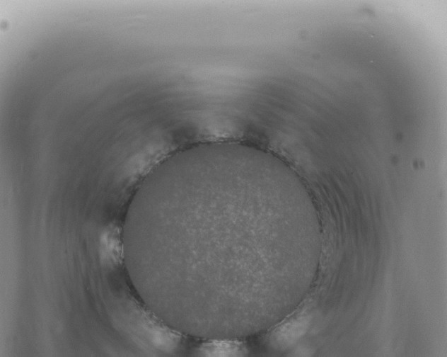 X0000073710672200608101840