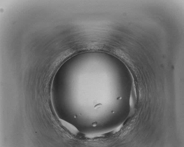 X0000073710673200608101839