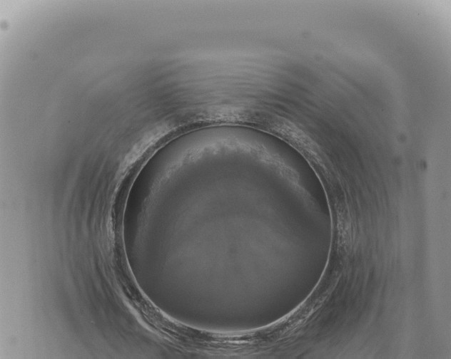 X0000073710674200608101839