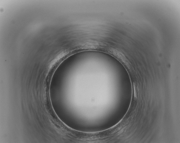 X0000073710675200608101839