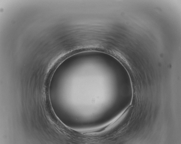 X0000073710676200608101839