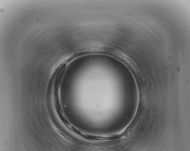 X0000073710677200608101839