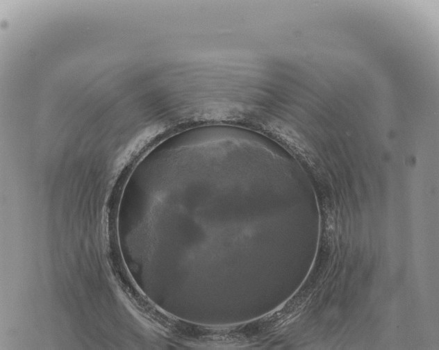 X0000073710678200608101839