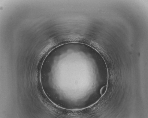 X0000073710679200608101839