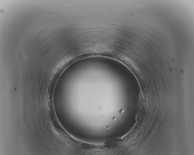 X0000073710680200608101839