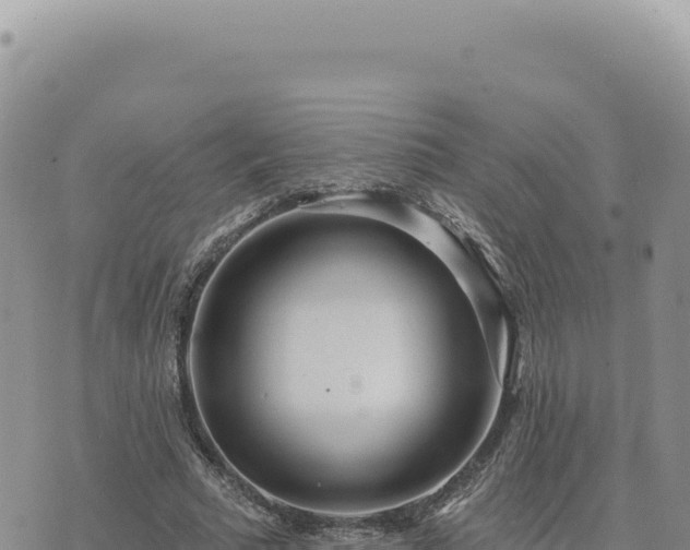 X0000073710681200608101839