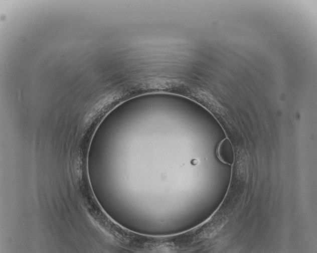 X0000073710683200608101839