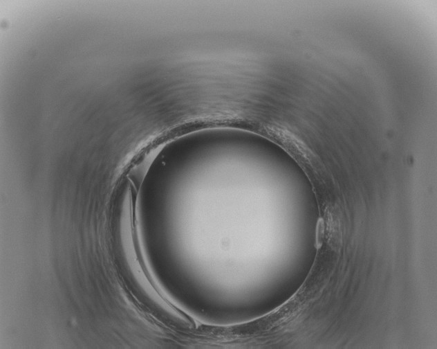 X0000073710684200608101839