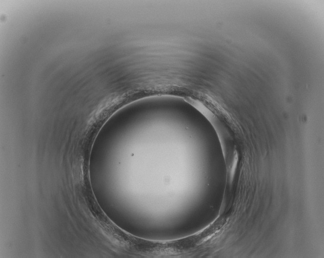 X0000073710685200608101839