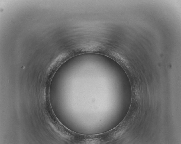 X0000073710686200608101839