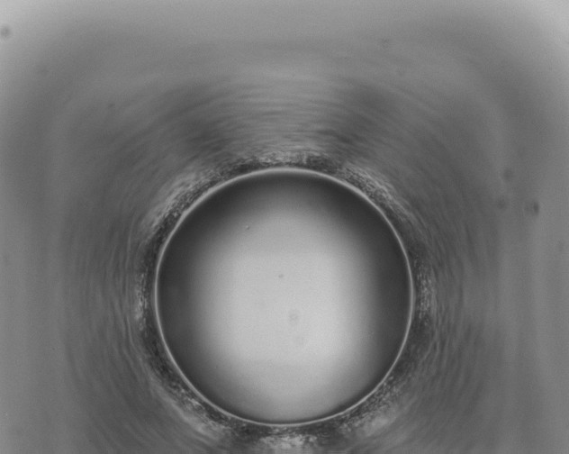 X0000073710687200608101839