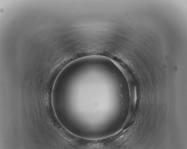 X0000073710689200608101839