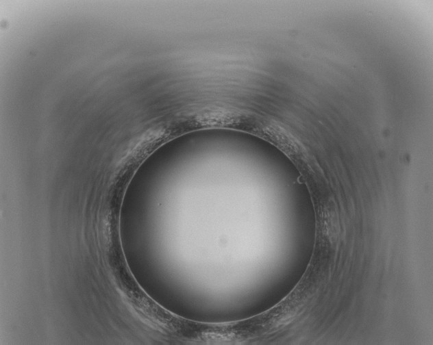 X0000073710690200608101839