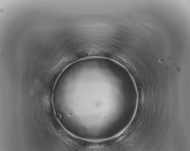 X0000073710691200608101839