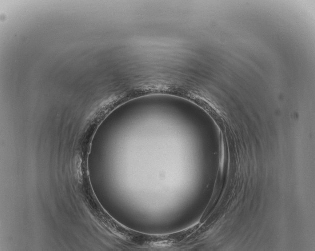 X0000073710692200608101839