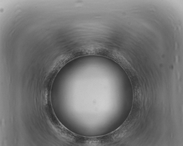 X0000073710694200608101839