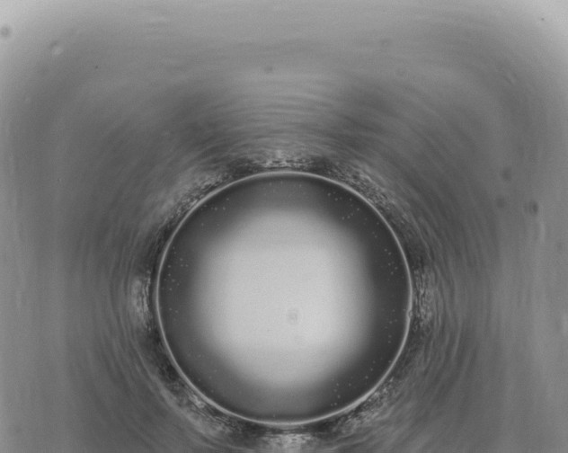 X0000073710695200608101839