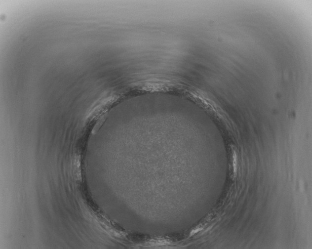 X0000073710696200608101839