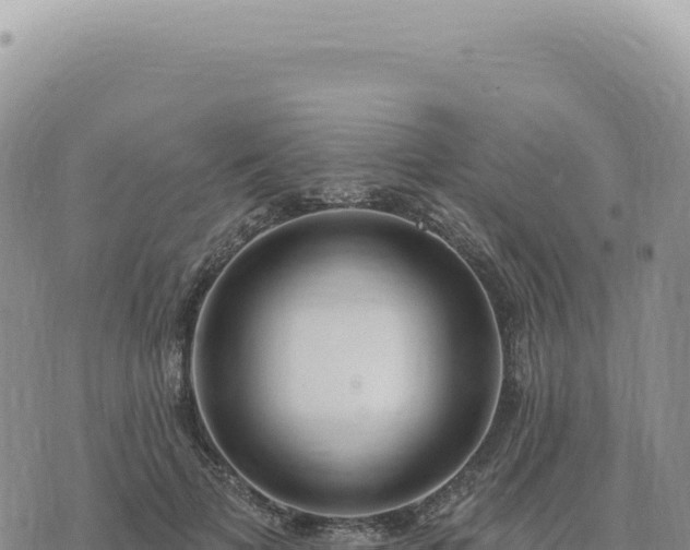 X0000073710697200608101839