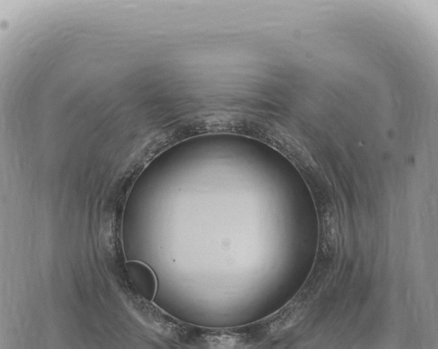 X0000073710698200608101839