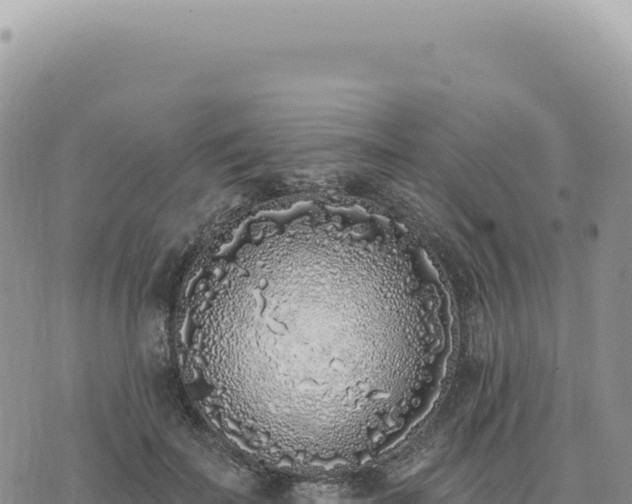 X0000073710699200608101839