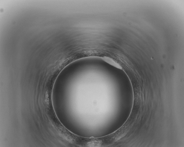 X0000073710700200608101839