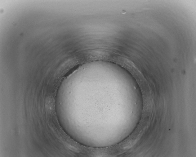 X0000073710701200608101839