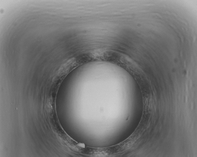 X0000073710702200608101839